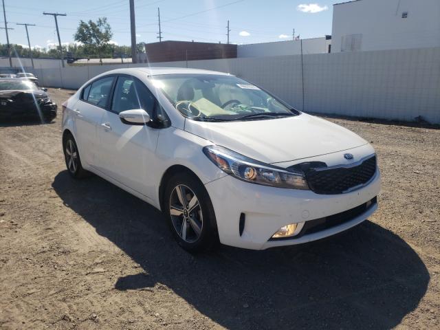 3KPFL4A75JE224507  kia  2018 IMG 0