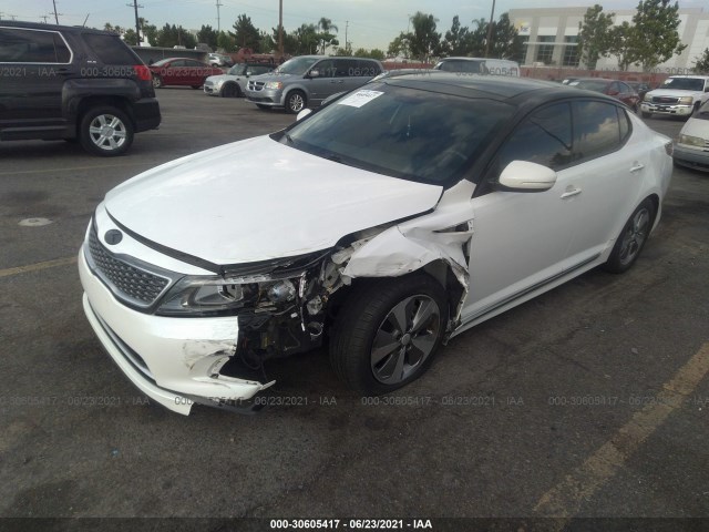 KNAGN4AD5E5066088  kia  2014 IMG 1