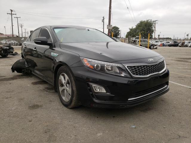 KNAGM4AD0G5099618  kia  2016 IMG 0