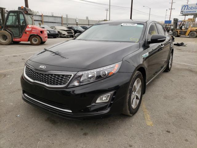 KNAGM4AD0G5099618  kia  2016 IMG 1