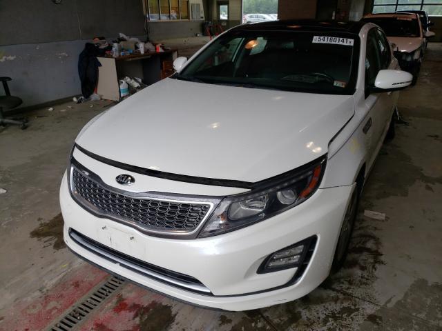 KNAGN4AD3G5092305  kia  2016 IMG 1