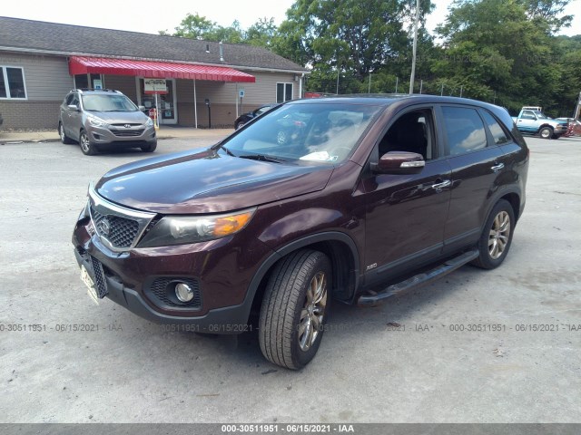 5XYKUCA13BG018608  kia sorento 2011 IMG 1