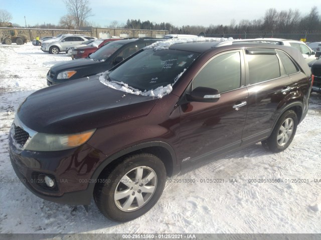 5XYKTCA16BG022509  kia sorento 2011 IMG 1