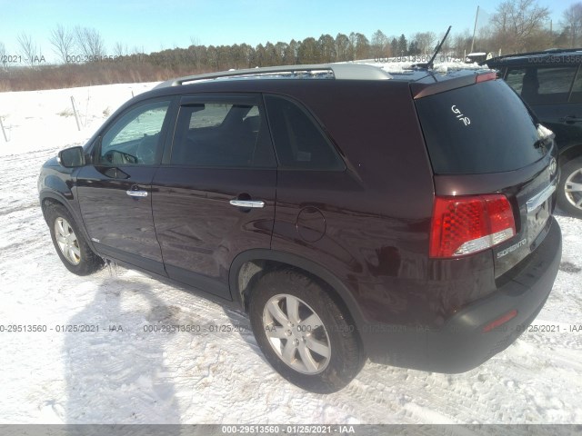 5XYKTCA16BG022509  kia sorento 2011 IMG 2