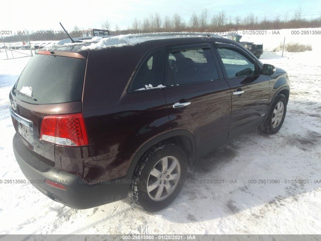 5XYKTCA16BG022509  kia sorento 2011 IMG 3