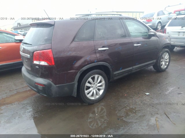 5XYKU3A14BG180554  kia sorento 2011 IMG 3