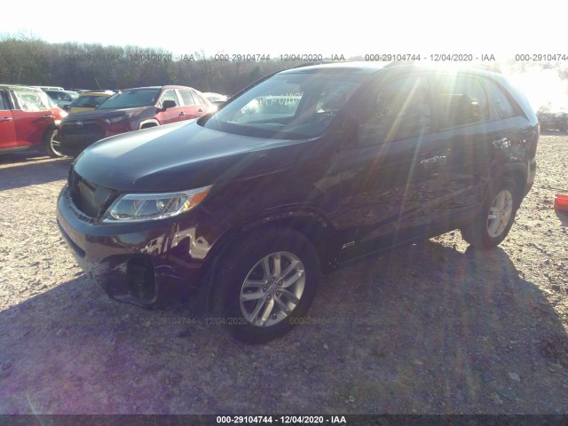 5XYKTCA69FG639078  kia sorento 2015 IMG 1