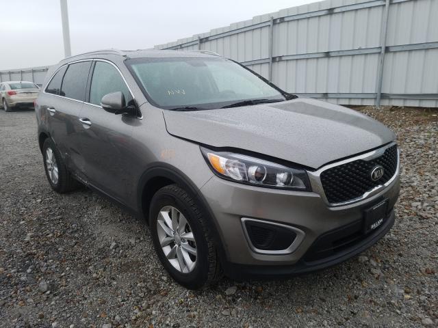 5XYPG4A36GG114261  kia sorento 2015 IMG 0