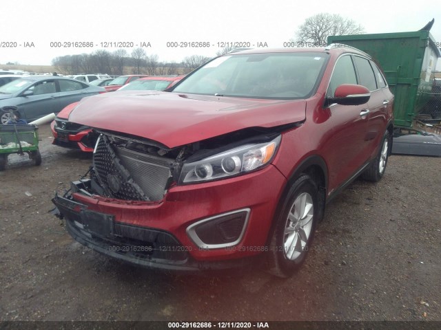 5XYPGDA30GG075229  kia sorento 2016 IMG 1