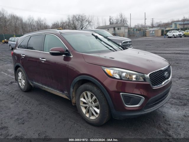 5XYPGDA31GG123238  kia sorento 2016 IMG 0