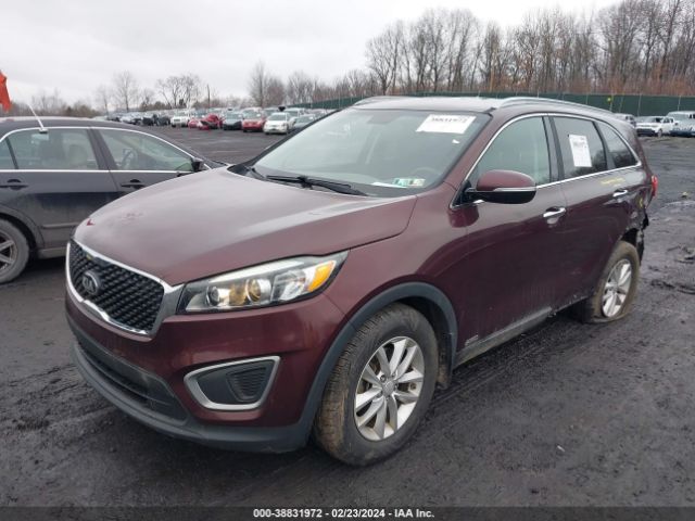 5XYPGDA31GG123238  kia sorento 2016 IMG 1