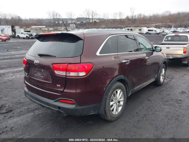 5XYPGDA31GG123238  kia sorento 2016 IMG 3