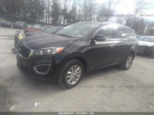 5XYPGDA34GG034540  kia sorento 2016 IMG 1