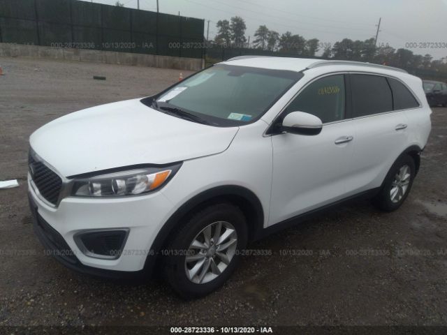 5XYPGDA36GG112543  kia sorento 2016 IMG 1