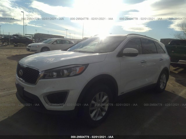 5XYPGDA39GG137002  kia sorento 2016 IMG 1