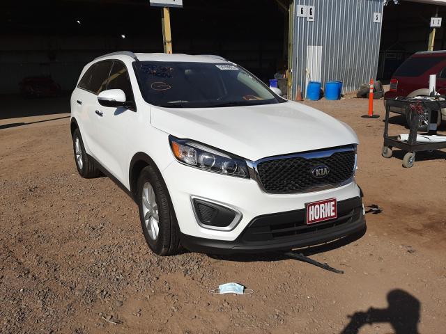 5XYPG4A30HG266196  kia  2017 IMG 0