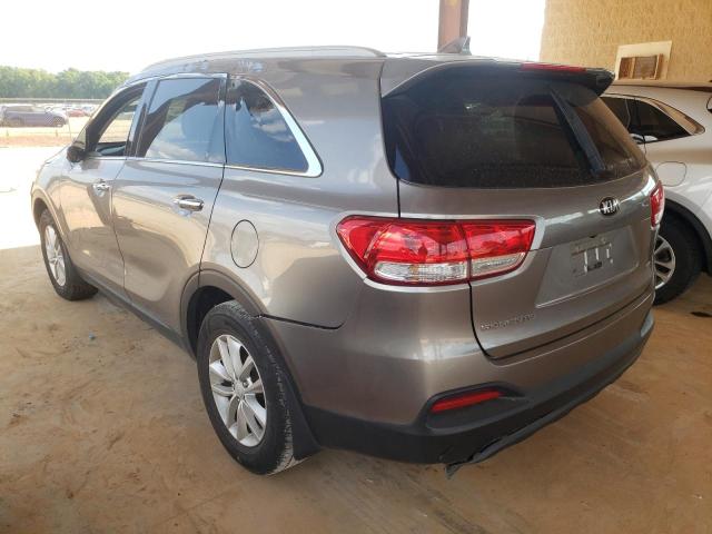 5XYPG4A35GG040203  kia sorento 2016 IMG 2