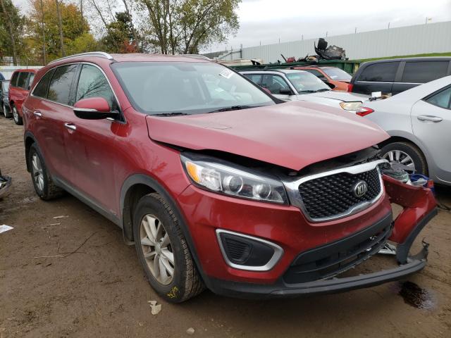 5XYPGDA32HG262070  kia  2017 IMG 0