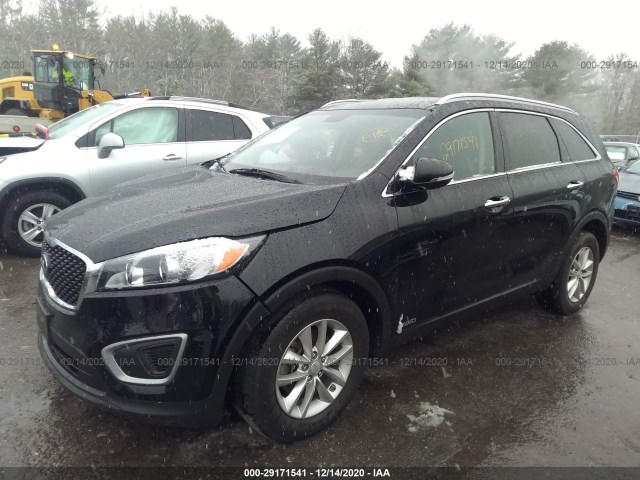 5XYPGDA38GG070263  kia sorento 2016 IMG 1