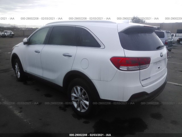 5XYPGDA39HG281103  kia sorento 2017 IMG 2