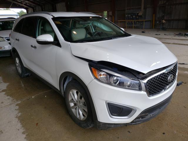 5XYPG4A36JG386509  kia  2018 IMG 0