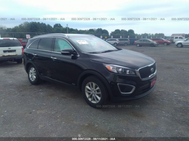 5XYPGDA30HG313422  kia sorento 2017 IMG 0