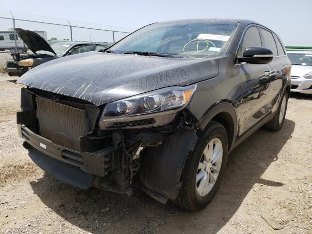 5XYPG4A36KG509095  kia  2019 IMG 1