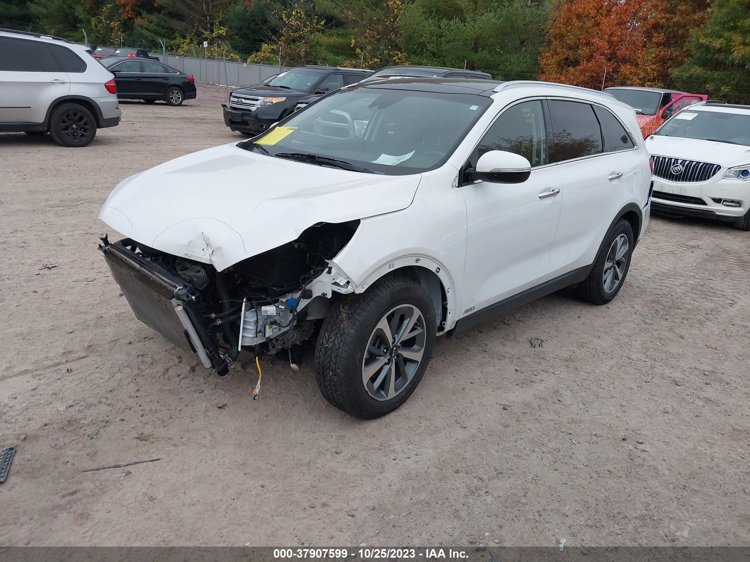 5XYPHDA59KG465544  kia sorento 2019 IMG 1