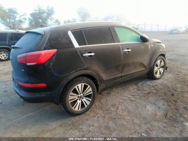 KNDPCCAC4E7651582  kia sportage 2014 IMG 3