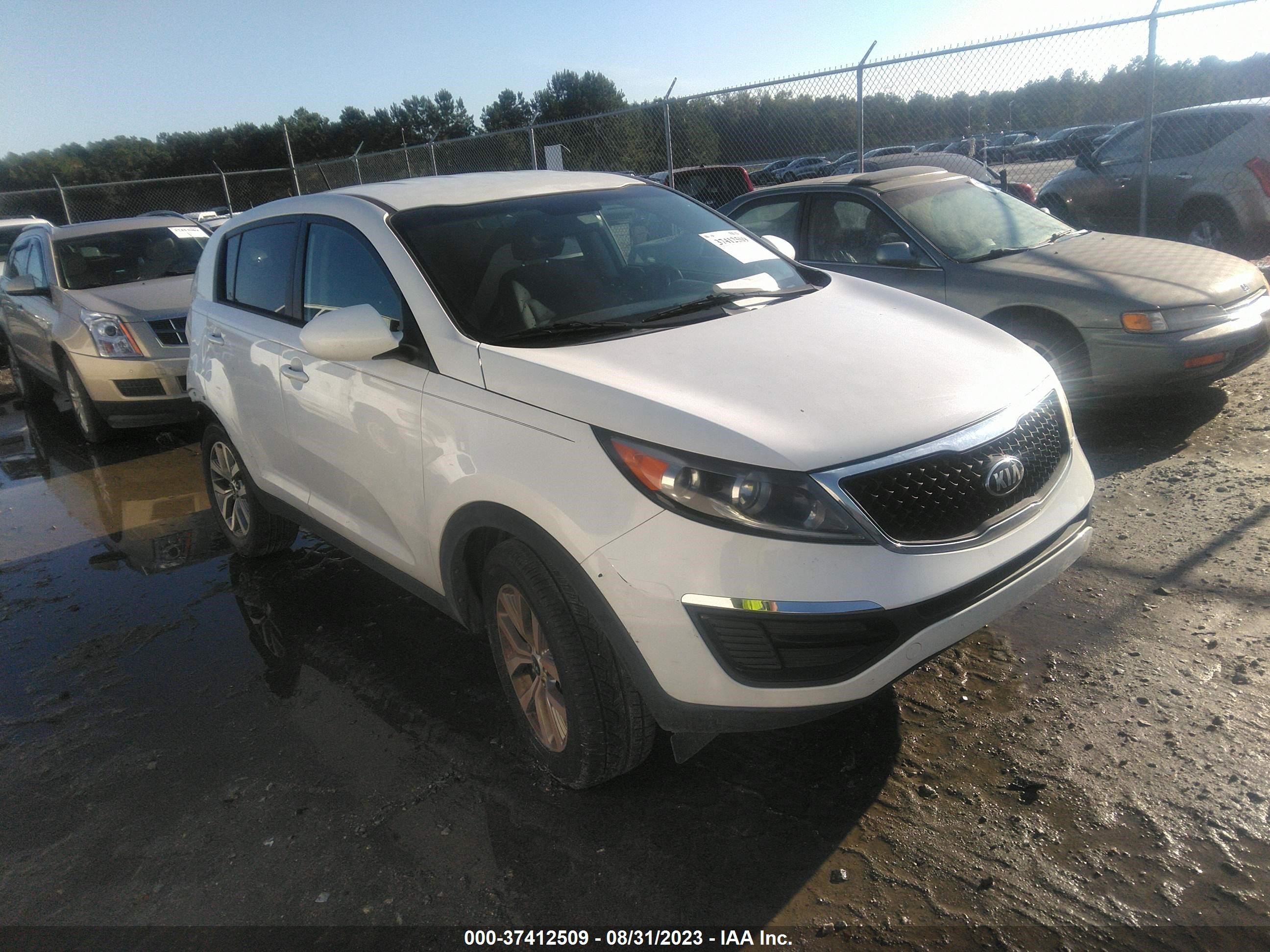 KNDPB3AC4G7796269  kia sportage 2016 IMG 0