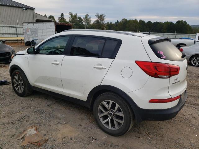 KNDPBCAC2G7833920  kia sportage 2016 IMG 1