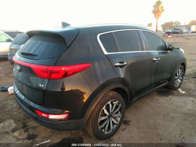 KNDPN3AC3H7050971  kia sportage 2016 IMG 3