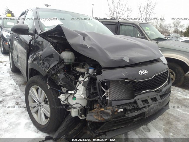 KNDPM3AC9K7599181  kia sportage 2019 IMG 5