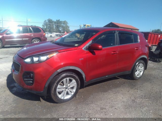 KNDPMCAC3K7608232  kia sportage 2019 IMG 1