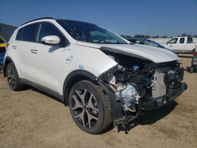 KNDPRCA66K7540360  kia  2019 IMG 0