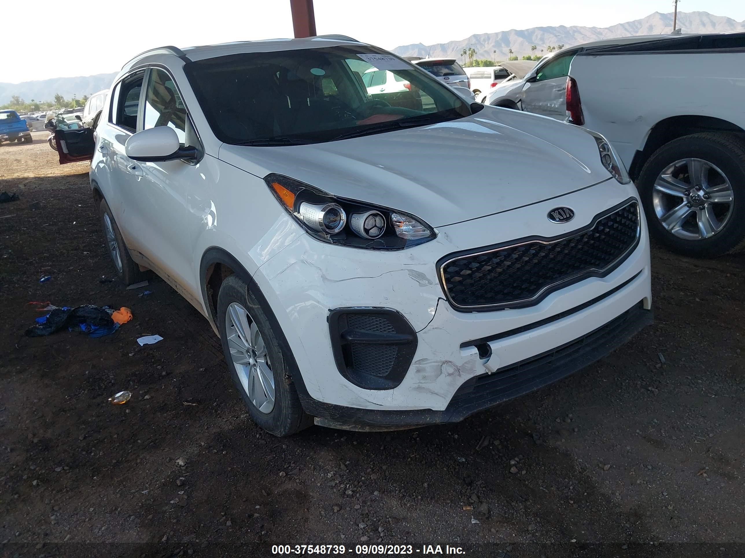 KNDPM3AC7K7608752  kia sportage 2019 IMG 5