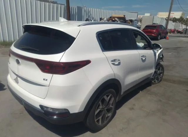 KNDPN3AC5M7852447  kia sportage 2021 IMG 3