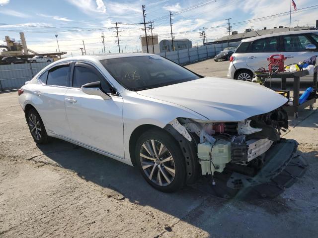 JTHB21B14K2022538  lexus  2019 IMG 0