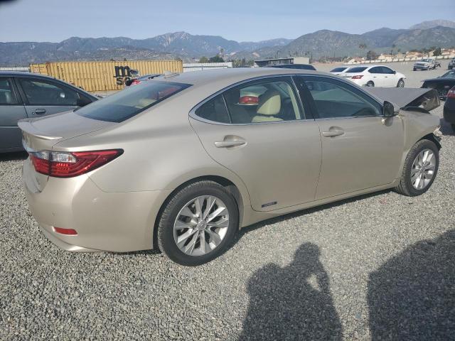 JTHBW1GG9D2023754  lexus es 300h 2013 IMG 2