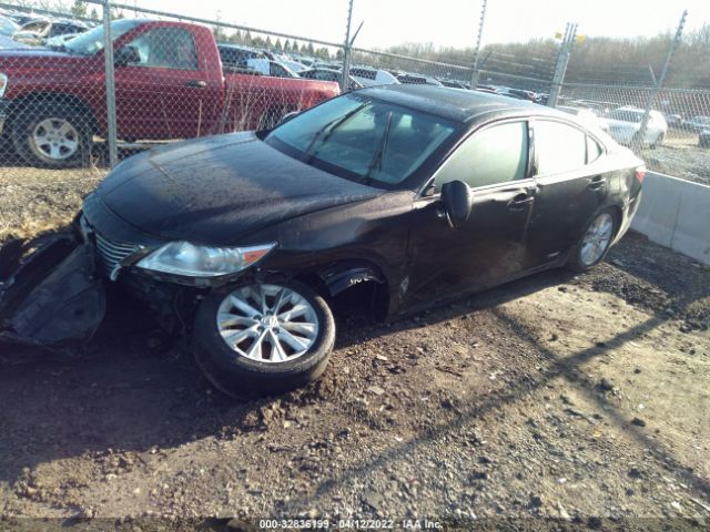 JTHBW1GG4E2059756  lexus es 300h 2014 IMG 1