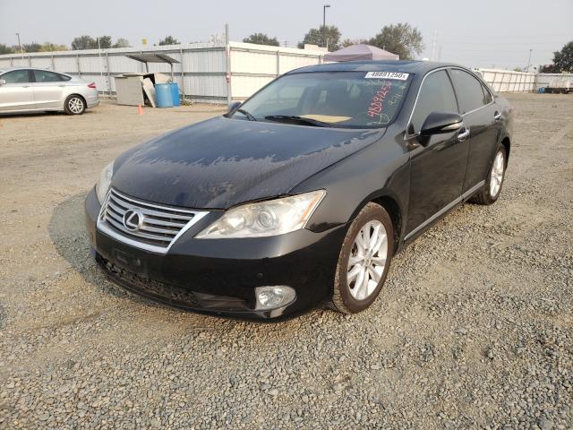 JTHBK1EG8A2374956  lexus es 350 2010 IMG 1