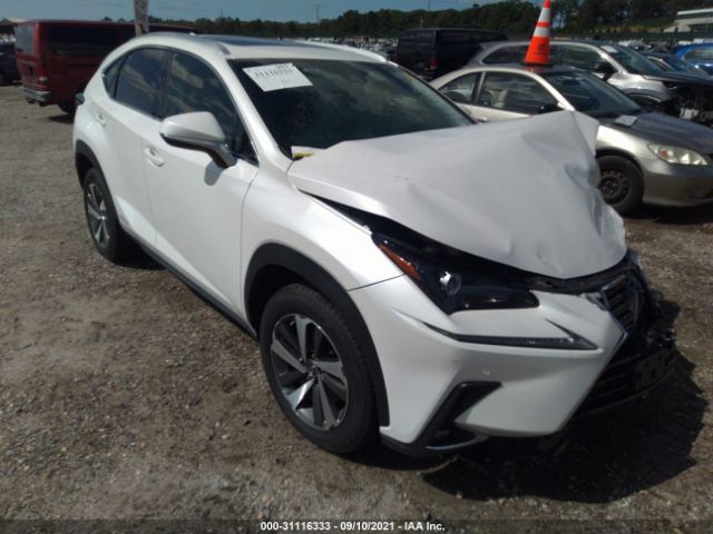 JTJBJRBZ3K2113807  lexus nx 2019 IMG 0