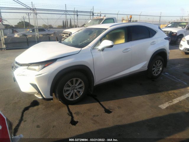 JTJAJRDZ2L5000424  lexus nx 2019 IMG 1