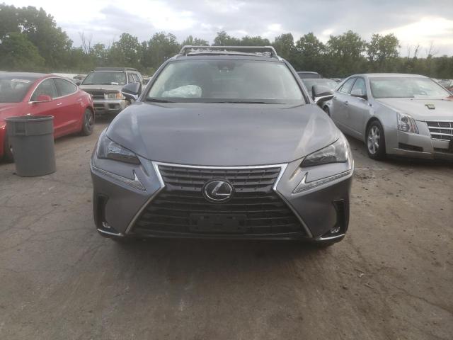 JTJDARDZ4L5011888  lexus nx 2019 IMG 4