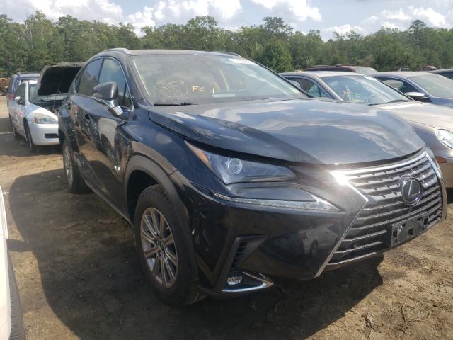 JTJDARDZ7L2217949  lexus nx 2019 IMG 0