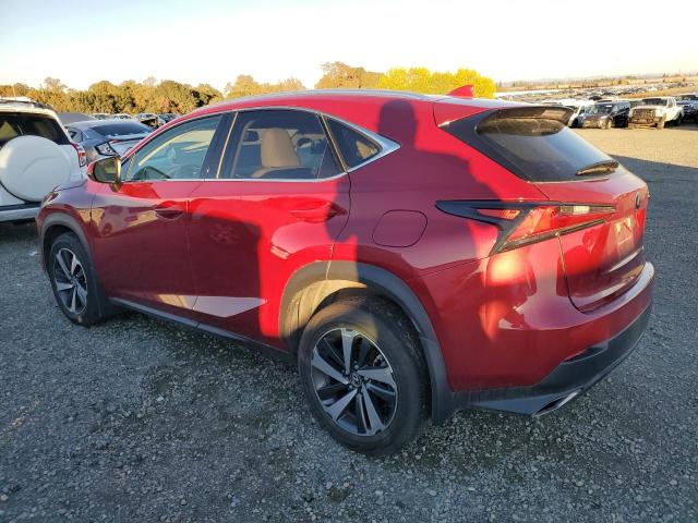 JTJGARDZ7L5003961  lexus nx 2019 IMG 1