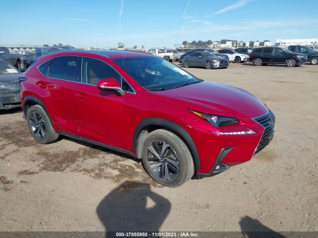 JTJYARBZ8K2147977  lexus nx 2019 IMG 0