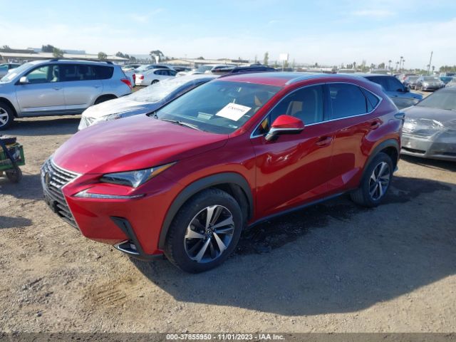 JTJYARBZ8K2147977  lexus nx 2019 IMG 1