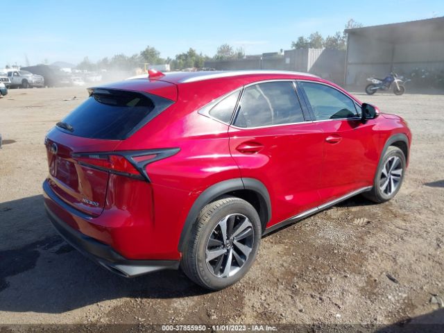 JTJYARBZ8K2147977  lexus nx 2019 IMG 3