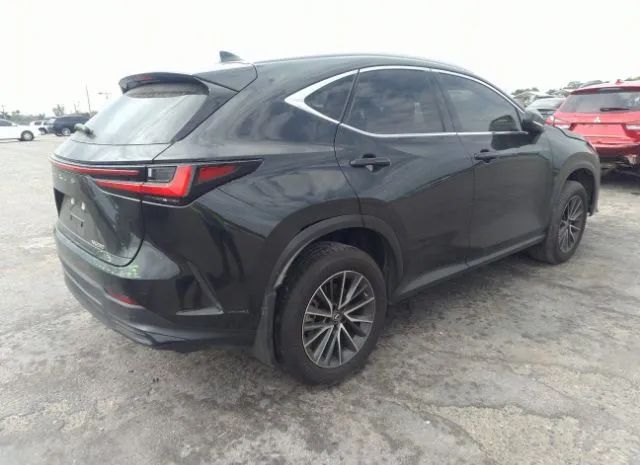 JTJADCAZ1N5001155  lexus nx 2022 IMG 3